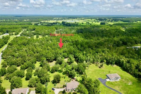 Terreno en venta en Williston, Florida № 1354911 - foto 11