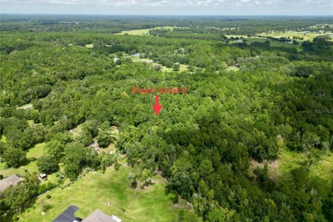 Terreno en venta en Williston, Florida № 1354911 - foto 12