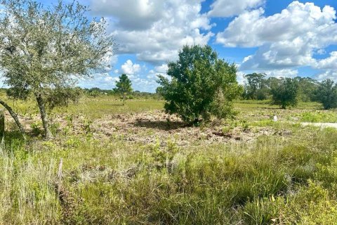 Land in Okeechobee, Florida № 1072398 - photo 9