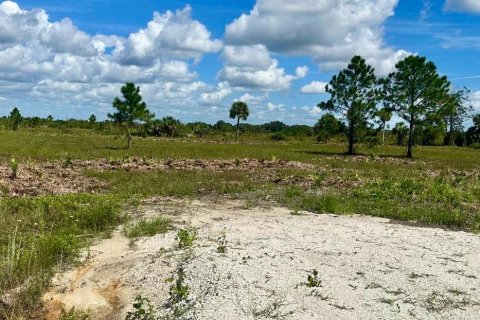 Land in Okeechobee, Florida № 1072398 - photo 1