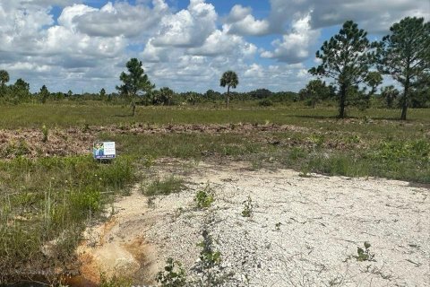 Land in Okeechobee, Florida № 1072398 - photo 3