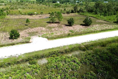 Land in Okeechobee, Florida № 1072398 - photo 8