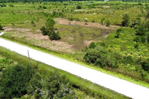 Land in Okeechobee, Florida № 1072398 - photo 7