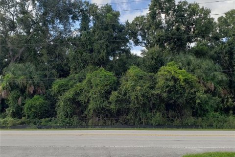 Terreno en venta en Okeechobee, Florida № 1339855 - foto 1