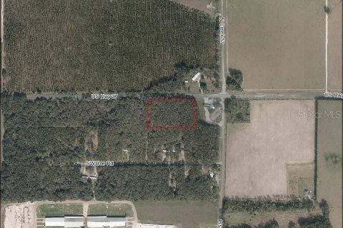 Land in Mayo, Florida № 1243371 - photo 1