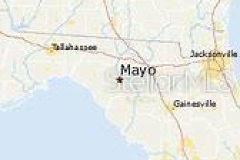 Land in Mayo, Florida № 1243371 - photo 2