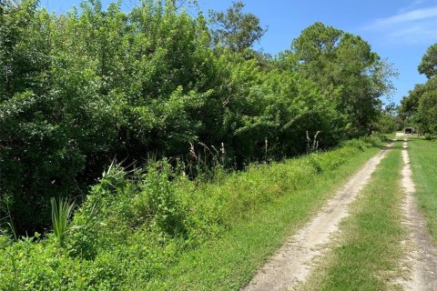 Land in Venice, Florida № 1352862 - photo 2