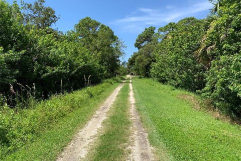 Land in Venice, Florida № 1352862 - photo 3