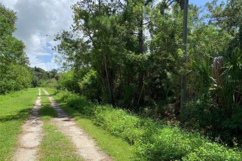 Terreno en venta en Venice, Florida № 1352862 - foto 6