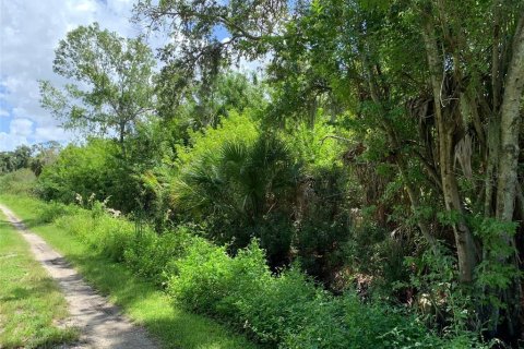 Terrain à vendre à Venice, Floride № 1352862 - photo 4