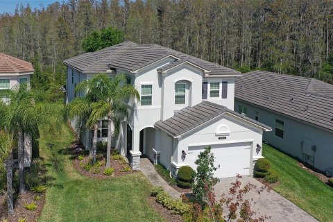 Casa en venta en Wesley Chapel, Florida, 5 dormitorios, 314.1 m2 № 1068959 - foto 3