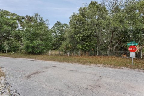 Terreno en venta en Orlando, Florida № 1343501 - foto 12