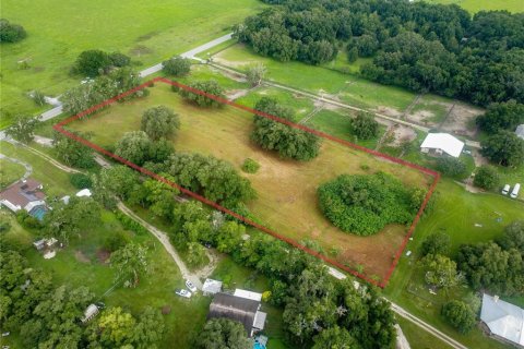 Terrain à vendre à Ocala, Floride № 1284358 - photo 6