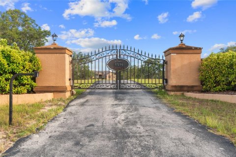 House in Dunnellon, Florida 6 bedrooms, 497.96 sq.m. № 1349355 - photo 4