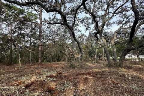 Terreno en venta en Winter Garden, Florida № 1419306 - foto 20