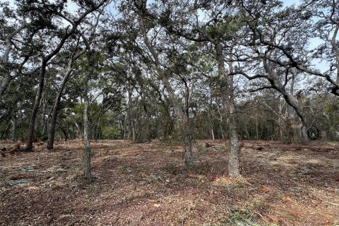 Terreno en venta en Winter Garden, Florida № 1419306 - foto 10