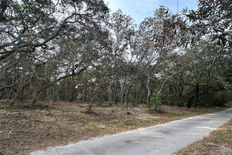 Terreno en venta en Winter Garden, Florida № 1419306 - foto 6