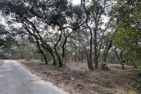 Terreno en venta en Winter Garden, Florida № 1419306 - foto 4