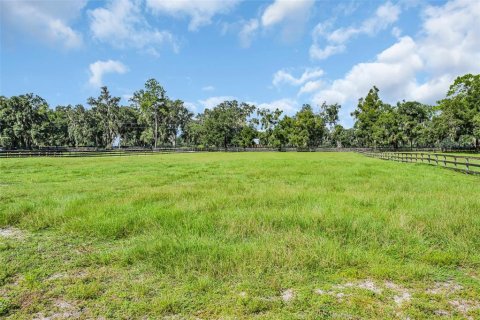 Land in Morriston, Florida № 1374090 - photo 26