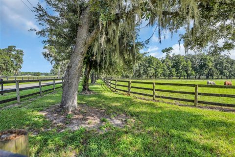 Land in Morriston, Florida № 1374090 - photo 25