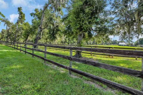 Land in Morriston, Florida № 1374090 - photo 24