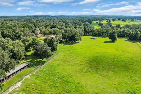 Land in Morriston, Florida № 1374090 - photo 10