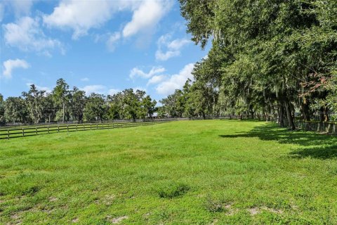 Terreno en venta en Morriston, Florida № 1374090 - foto 27