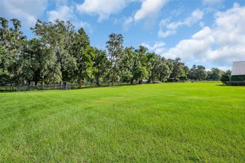 Land in Morriston, Florida № 1374090 - photo 28