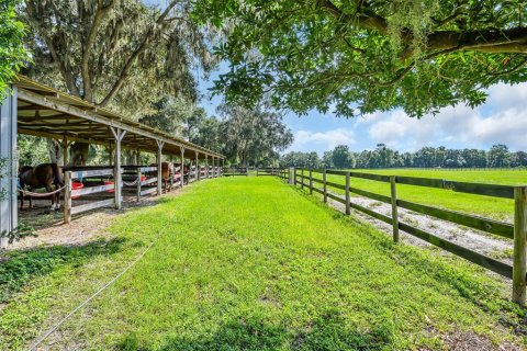 Land in Morriston, Florida № 1374090 - photo 23