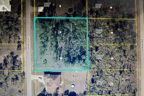 Купить земельный участок в Лихай-Эйкерс, Флорида № 1058525 - фото 1