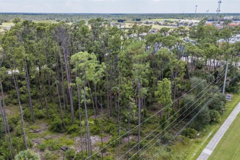 Terreno en venta en Port Charlotte, Florida № 1376879 - foto 7