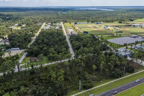 Land in Port Charlotte, Florida № 1376879 - photo 29