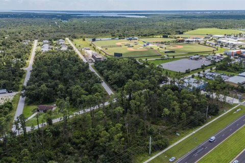 Land in Port Charlotte, Florida № 1376879 - photo 28