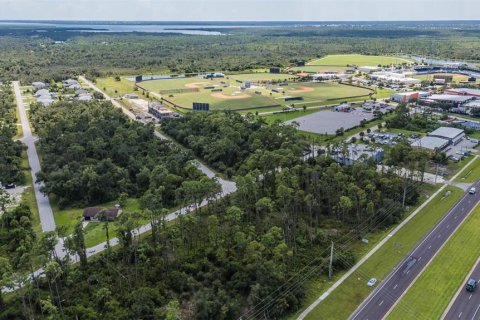 Land in Port Charlotte, Florida № 1376879 - photo 27