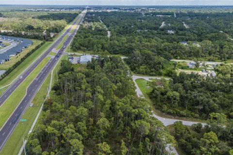 Land in Port Charlotte, Florida № 1376879 - photo 14