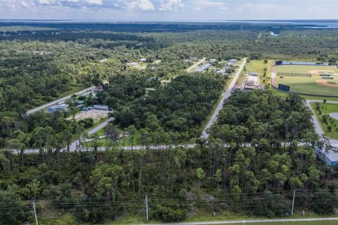 Land in Port Charlotte, Florida № 1376879 - photo 30