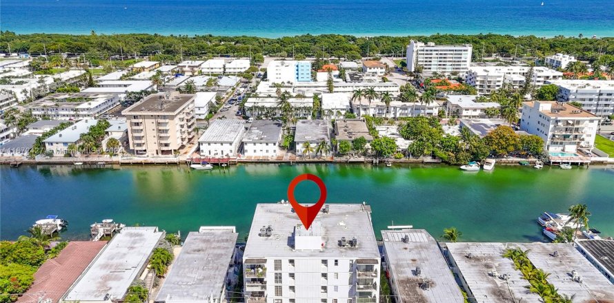 Condo à Miami Beach, Floride, 4 chambres  № 1396909