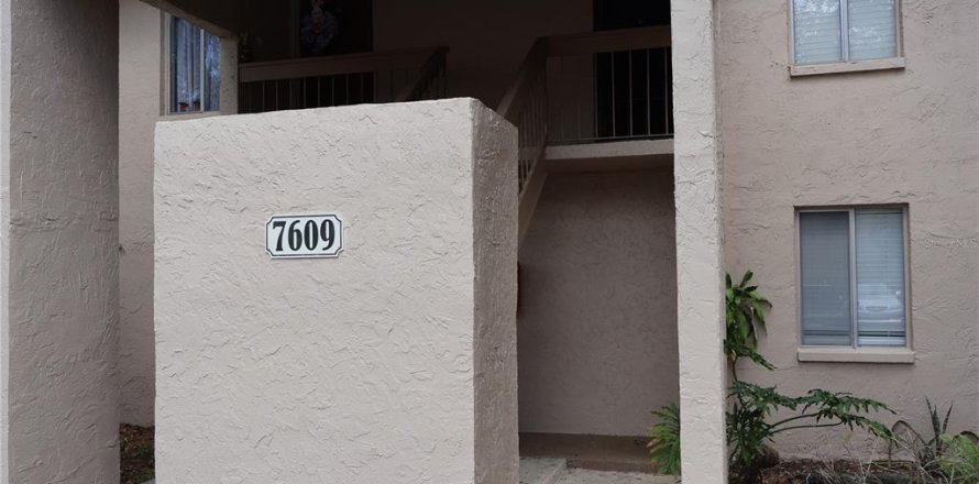 Condo in Tampa, Florida, 2 bedrooms  № 1056276