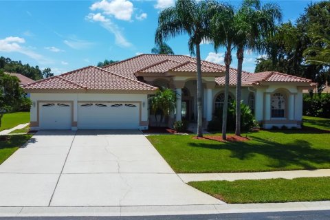 Villa ou maison à vendre à Tarpon Springs, Floride: 4 chambres, 322.19 m2 № 1344520 - photo 7