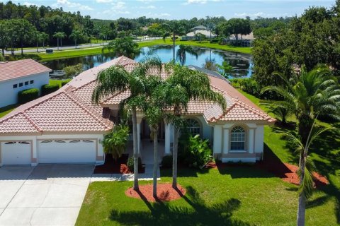 Villa ou maison à vendre à Tarpon Springs, Floride: 4 chambres, 322.19 m2 № 1344520 - photo 1