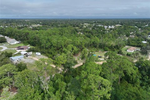 Land in Leesburg, Florida № 1359076 - photo 15