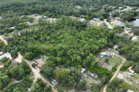 Land in Leesburg, Florida № 1359076 - photo 3