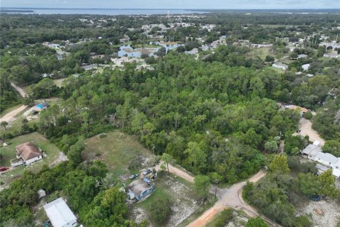 Land in Leesburg, Florida № 1359076 - photo 10