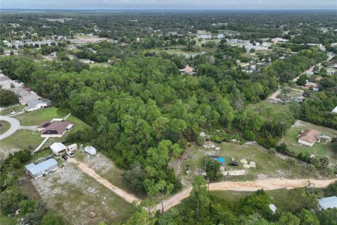 Land in Leesburg, Florida № 1359076 - photo 11