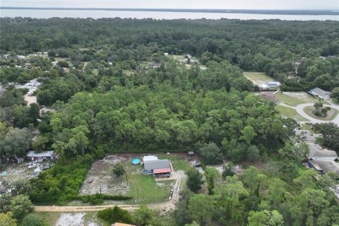 Land in Leesburg, Florida № 1359076 - photo 14