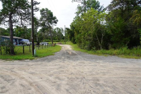 Terreno en venta en Leesburg, Florida № 1359076 - foto 25