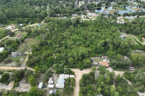 Terreno en venta en Leesburg, Florida № 1359076 - foto 2