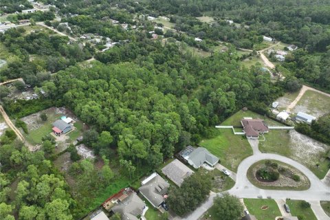 Land in Leesburg, Florida № 1359076 - photo 8