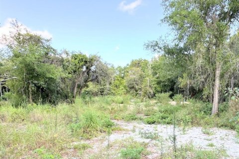 Land in Hudson, Florida № 1359959 - photo 1