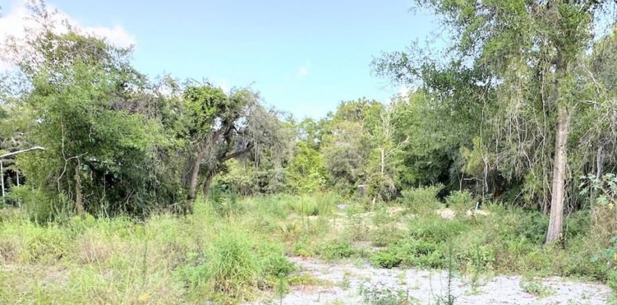 Land in Hudson, Florida № 1359959